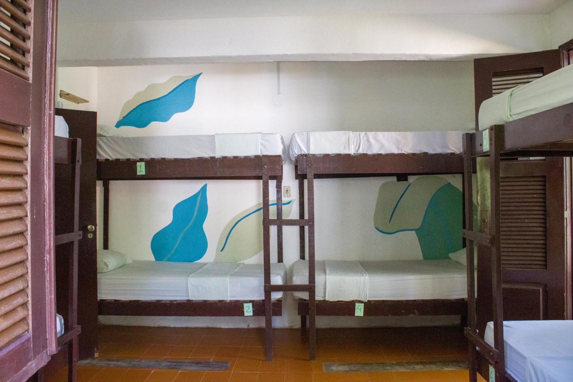 Indiana Kite School And Hostel Cumbuco Extérieur photo
